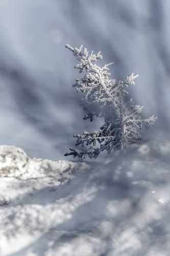 По ту сторону