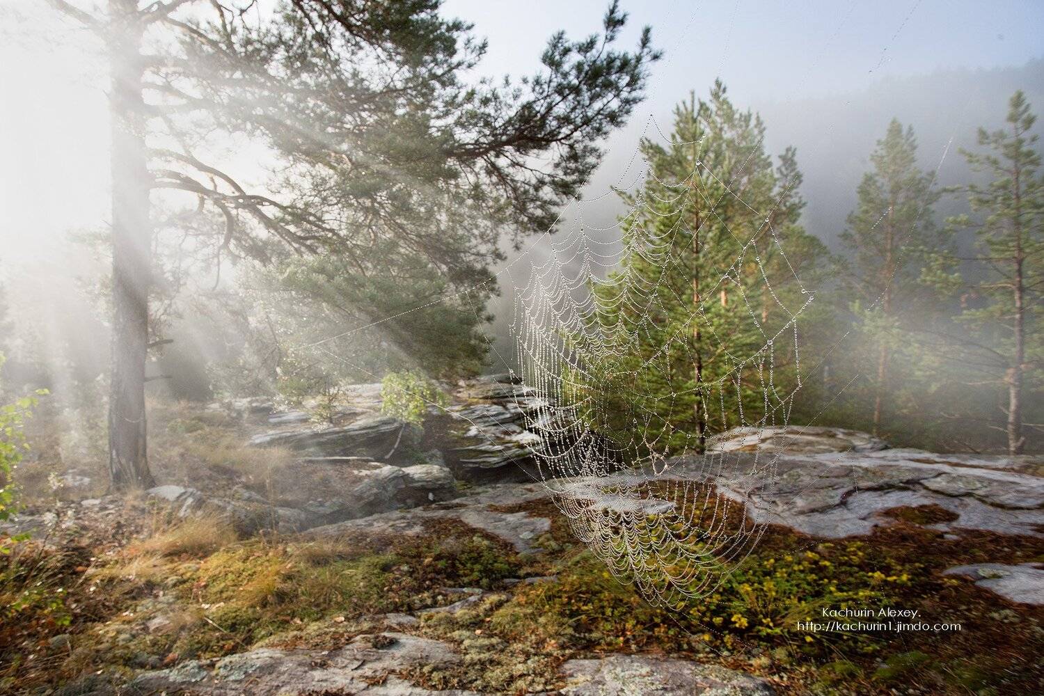 орск оренбургская обл. качурин новотроицк южный урал, Качурин Алексей