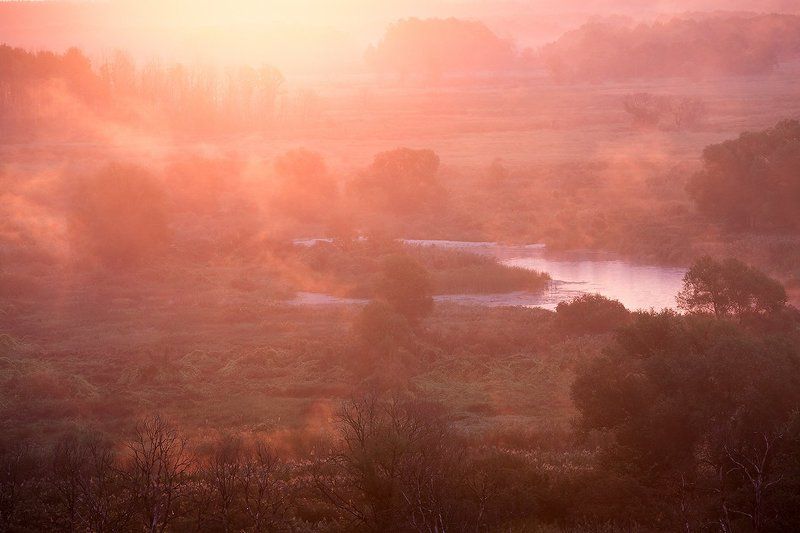 Розовое утро. фото превью