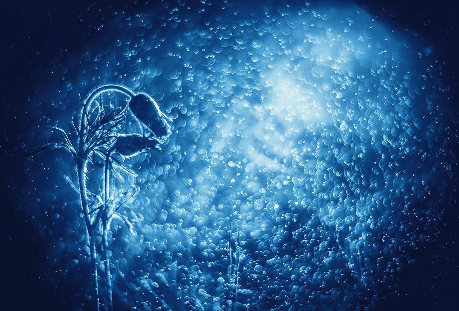 , Татьяна Аверина