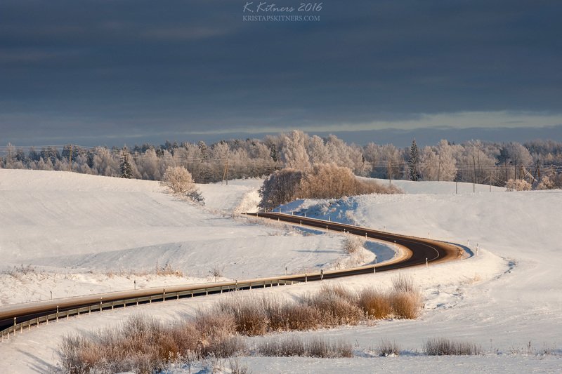 snow way road tree forest white winter sky clouds latvia landscape field sign The Winter Snake фото превью
