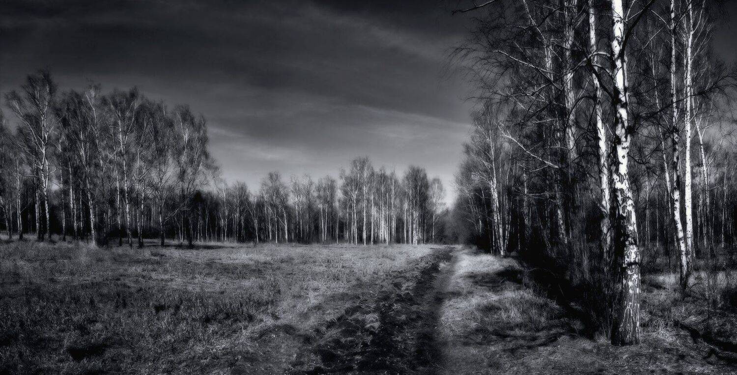 , Игорь Мелекесцев