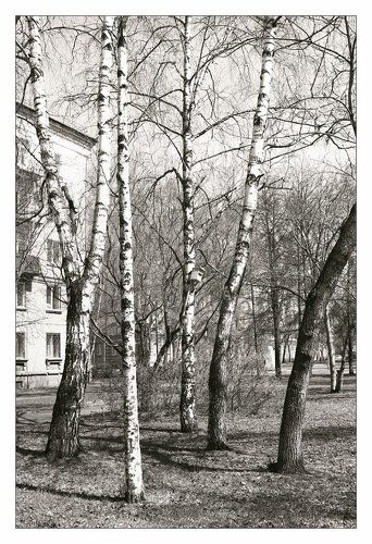 Черно-белая весна. Апрель.
