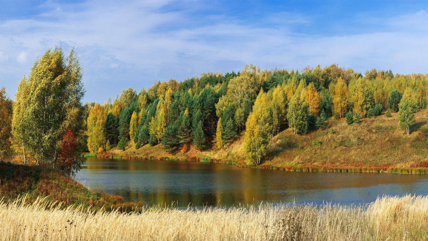 , Алексей Чистяков