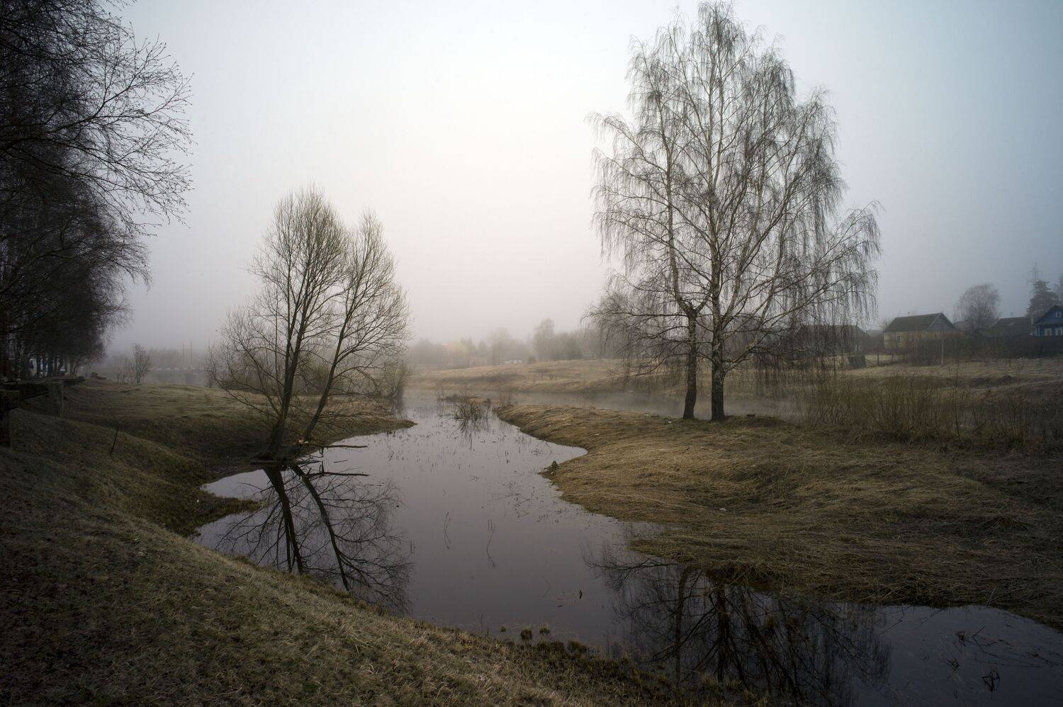 пейзаж Тверь туман Деревья город арт , Геннадий
