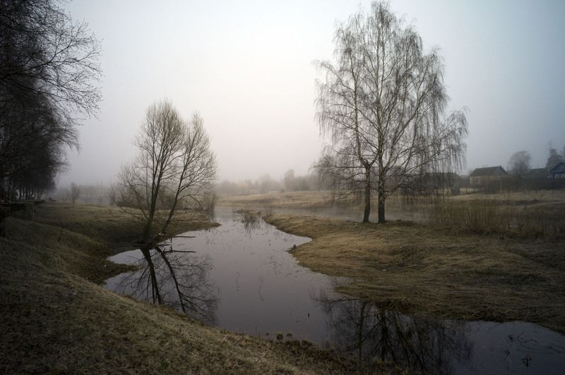 пейзаж Тверь туман Деревья город арт   фото превью