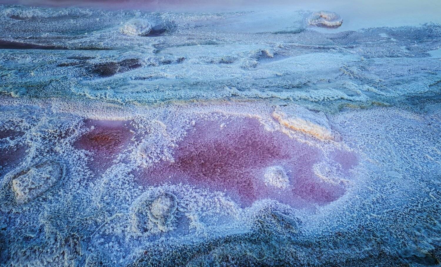 соль,озеро,сухой,розовый,узор,белый,опук,кояшское,заповедник,вода,пейзаж,крым,россия,природа, Elena Pakhalyuk