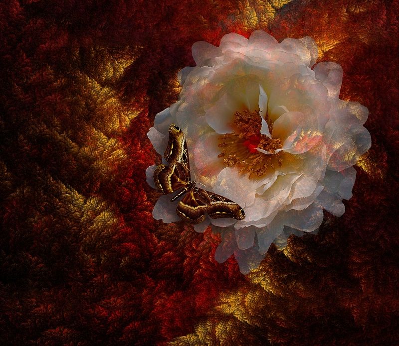 Magical фото превью