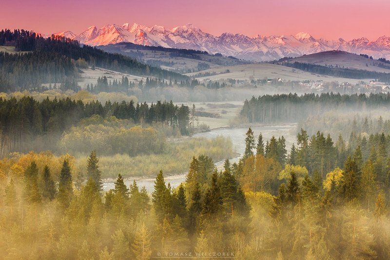 Light and fog