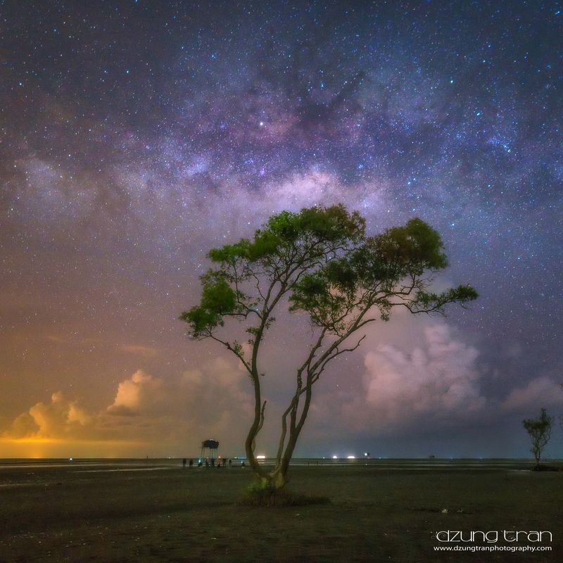 lonely,tree,milkyway,go cong,viet nam Milkyway over lonely tree фото превью