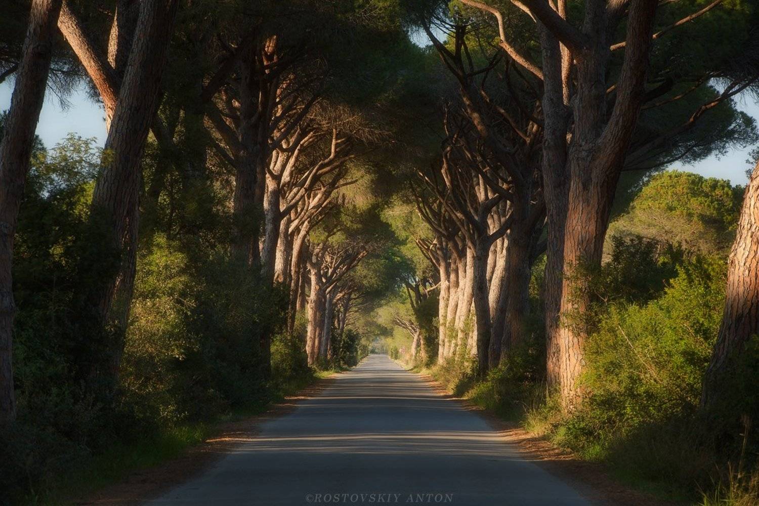 тоскана, италия, Антон Ростовский