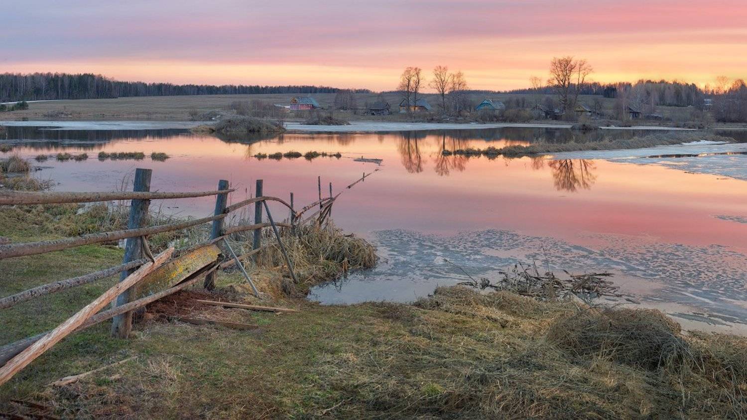 , Дмитрий Медянцев