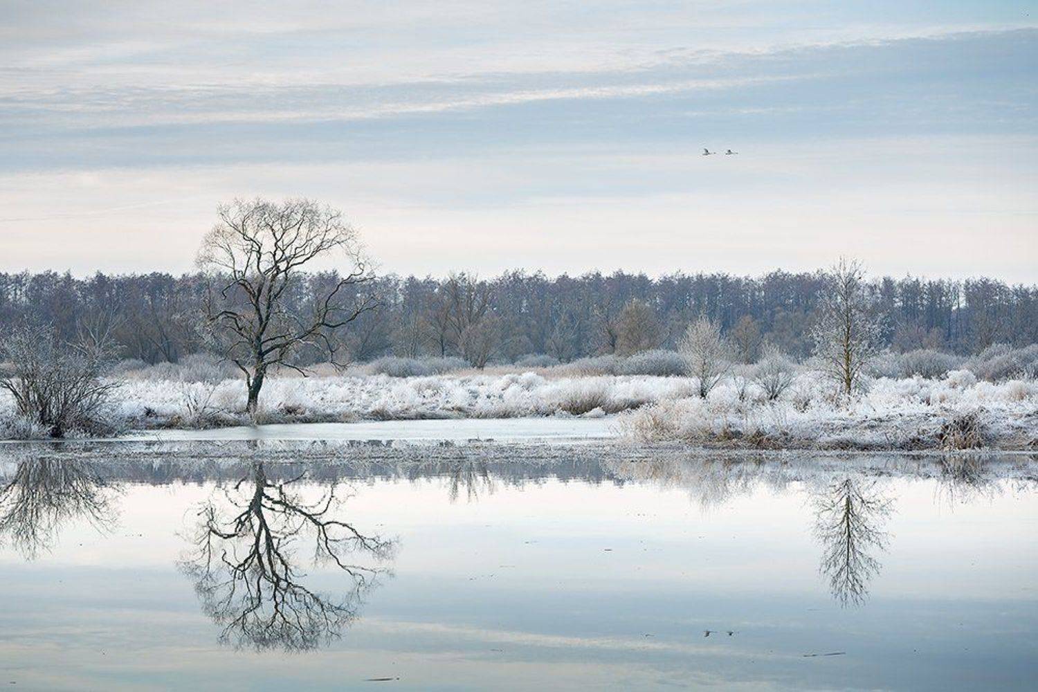 , Юрий Сорокин