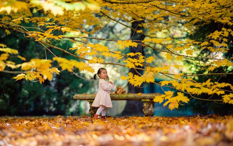 kid, child, girl, breenhold garden, face, autumn, leaf, leaves                                                                                                                                                                                                  *** фото превью