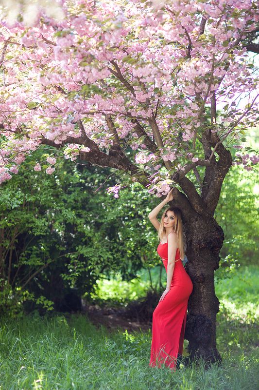 фотосессия, сакура, красота, красное, платье, девушка, макияж, парк, цветы, весна, Симферополь, фотограф, Пекшева Евгения фото превью