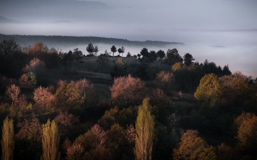 Foggy Landschaft