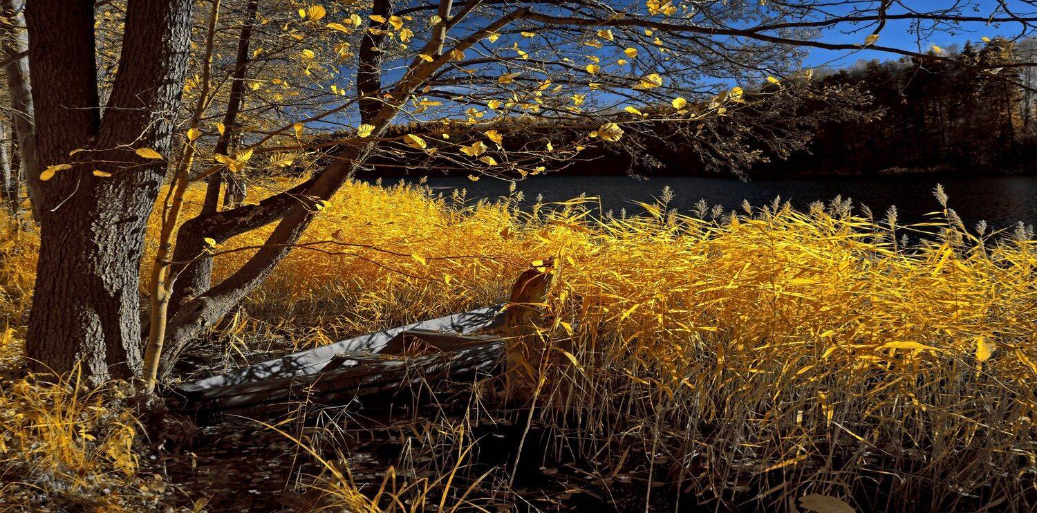 infrared,ик-фото,инфракрасное фото,инфракрасная фотография,пейзаж,природа,беларусь,осень, Sixten ( Сергей )