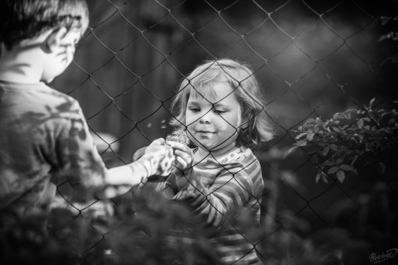 Первая любовь фото превью