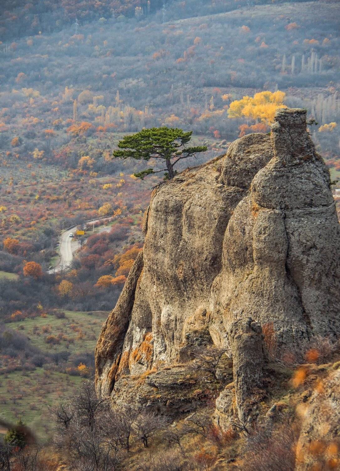 крым,демерджи,осень,золотой,желтый,зеленый,сосна,скала,гора,россия,пейзаж,высота,деревья,закат,природа, Elena Pakhalyuk