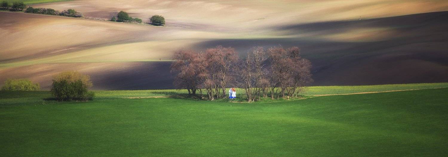 поле волны весна чехия, Aleksandr