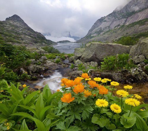 сон пейзажиста