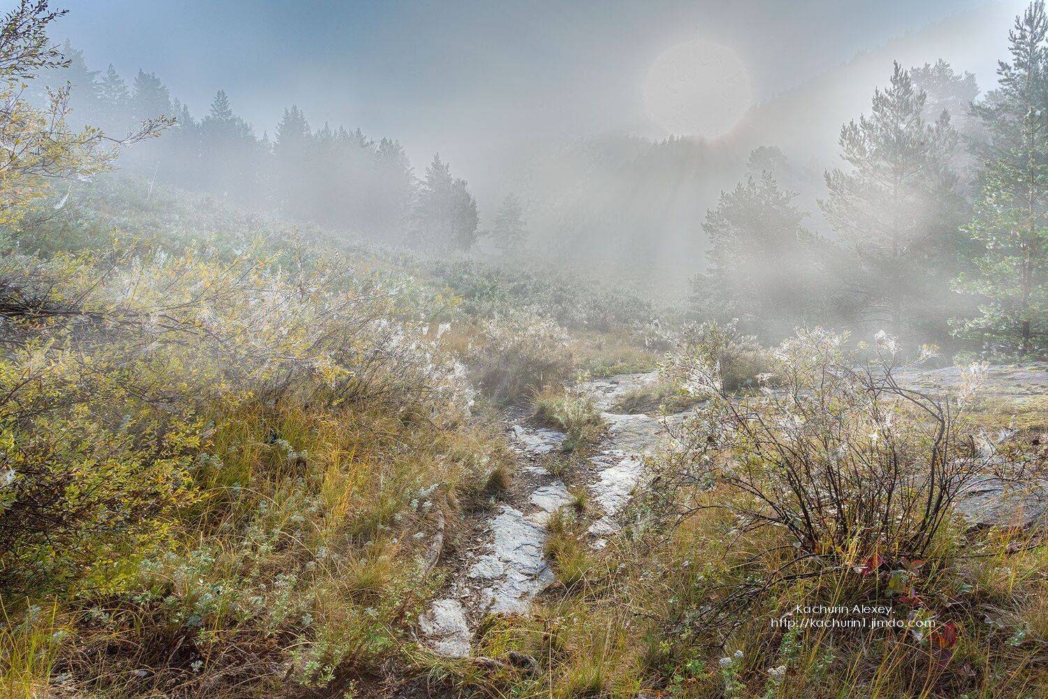 , Качурин Алексей