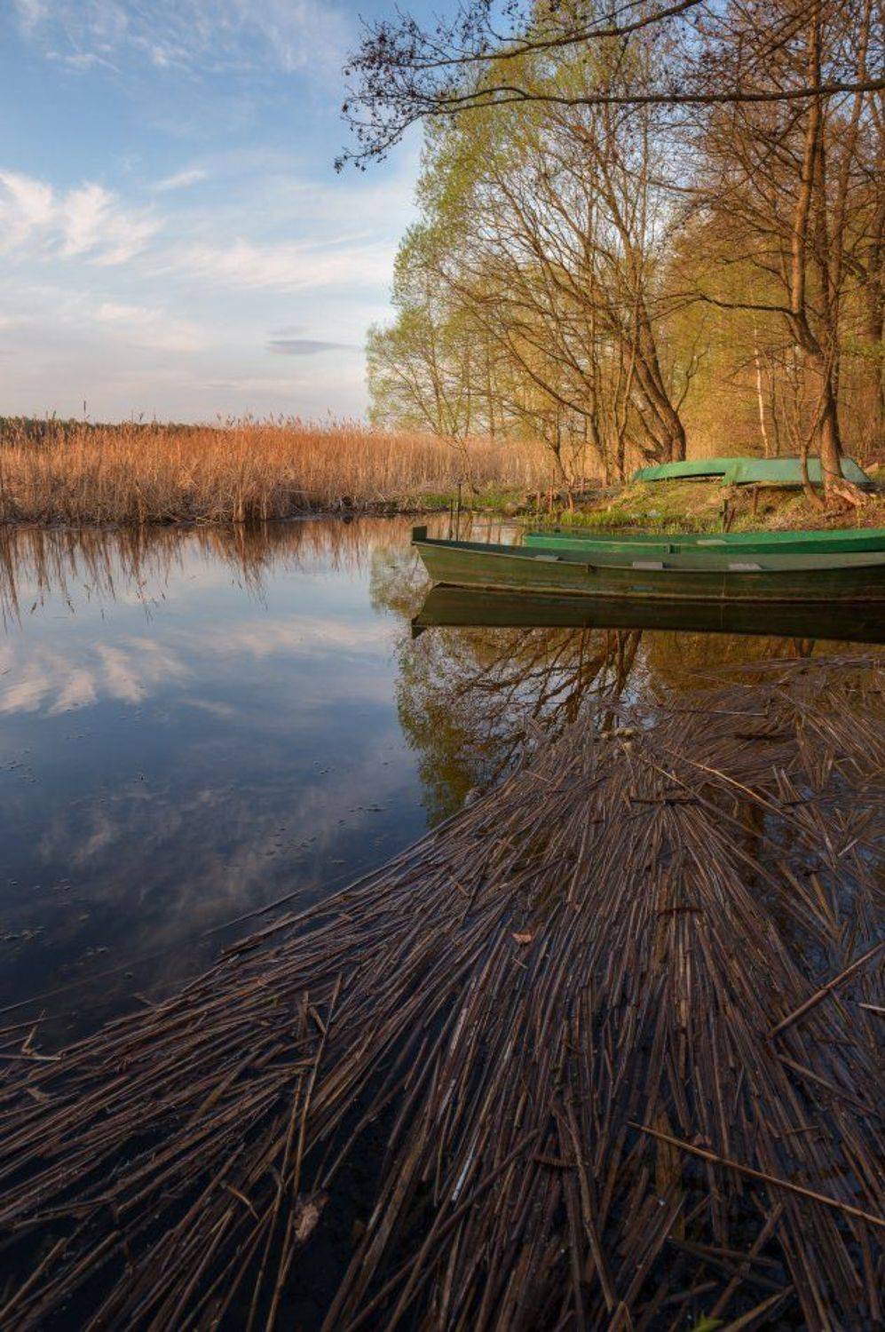 пейзаж,природа,весна,закат,вечер,отражение,облака,деревья,лодки, Юлия Лаптева