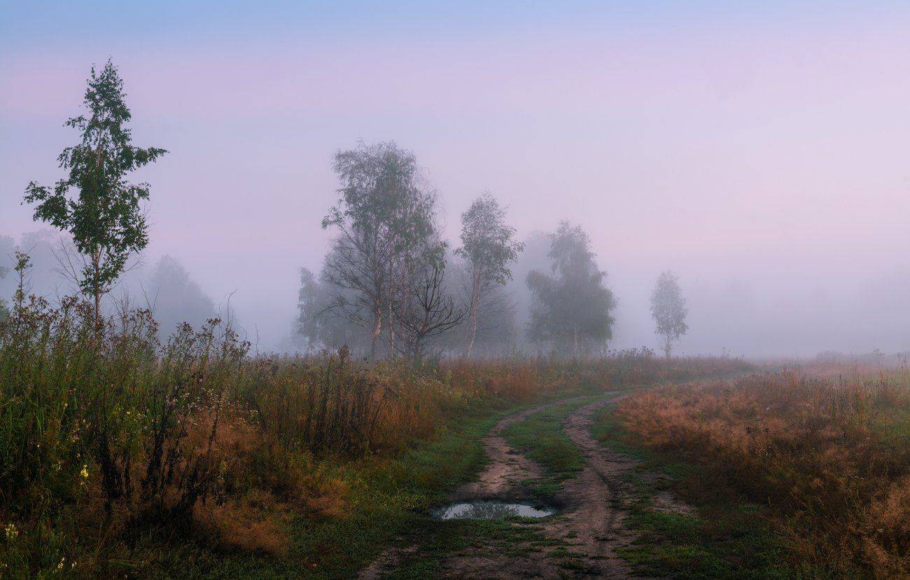 луг, утро, рассвет, туман, сумерки, Галанзовская Оксана