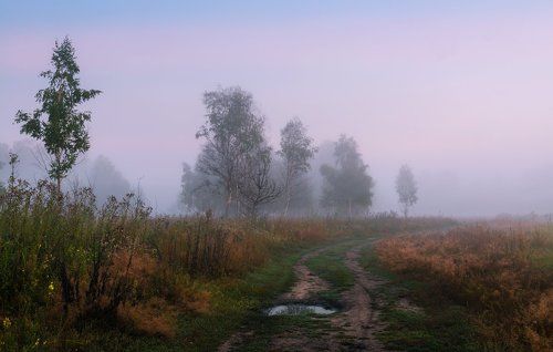 Просыпается луг, околдованный белым туманом