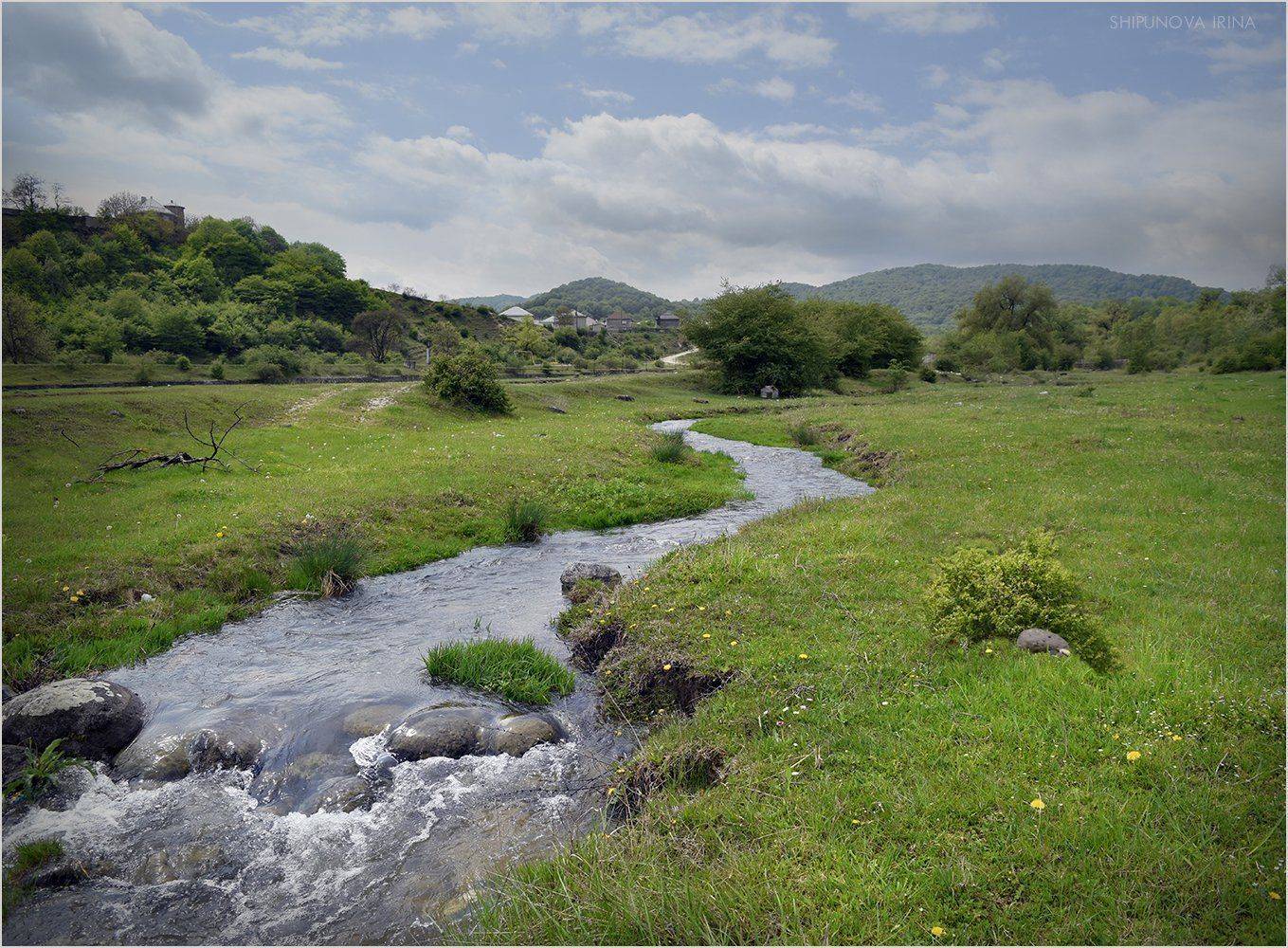 , Шипунова Ирина