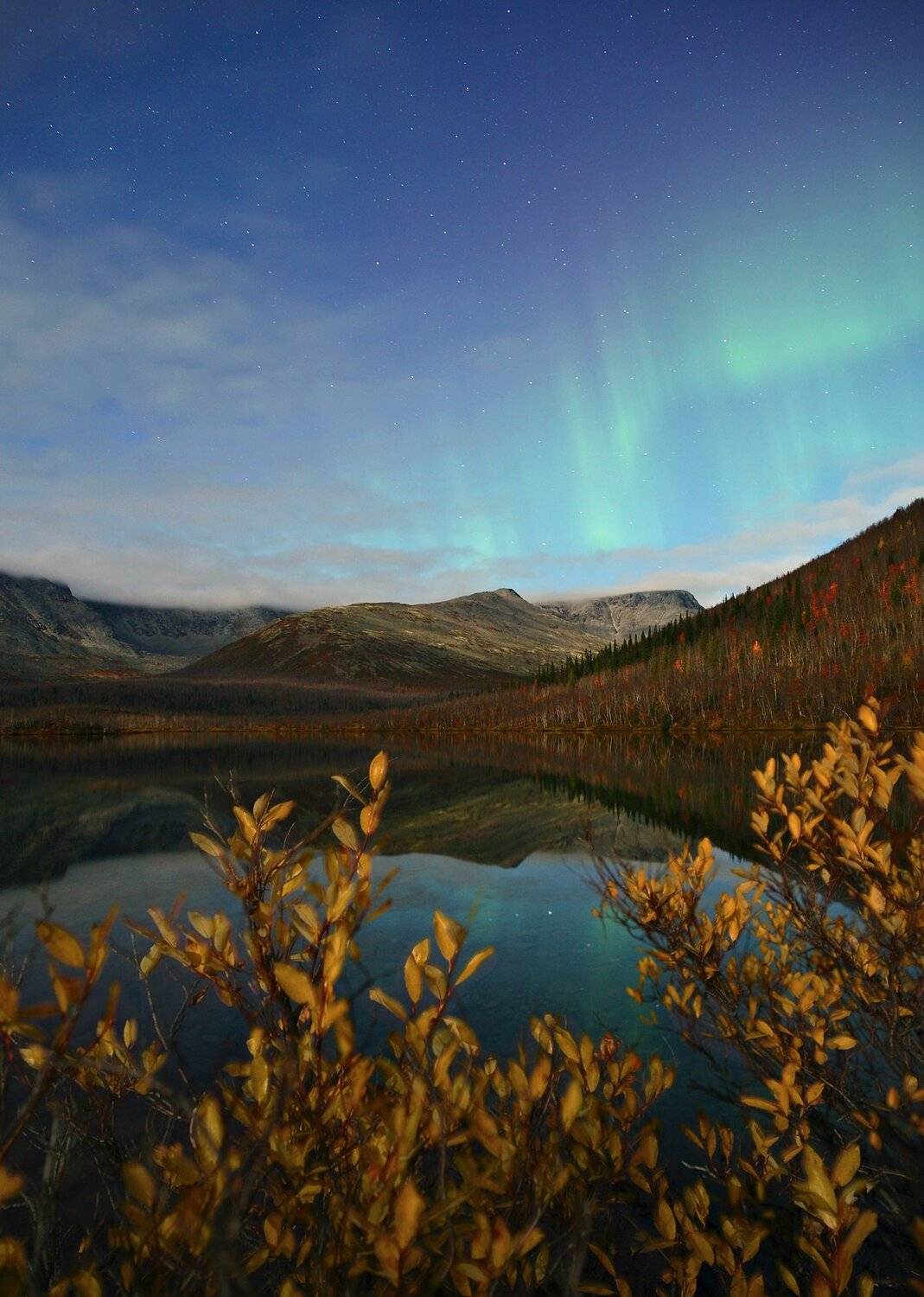 , Михаил Рева