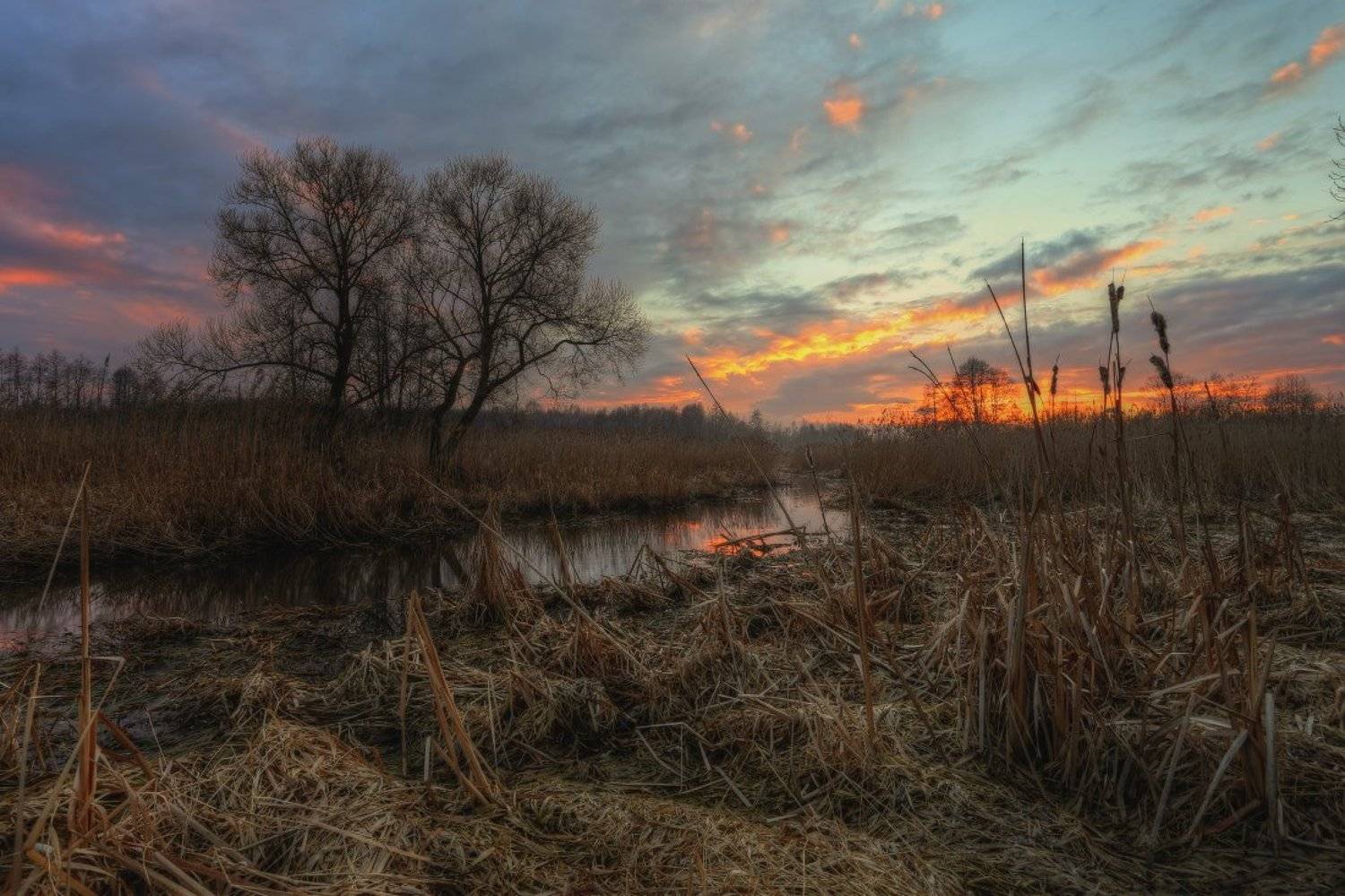 весна,небо,вечер,закат, Андрей Дитковский