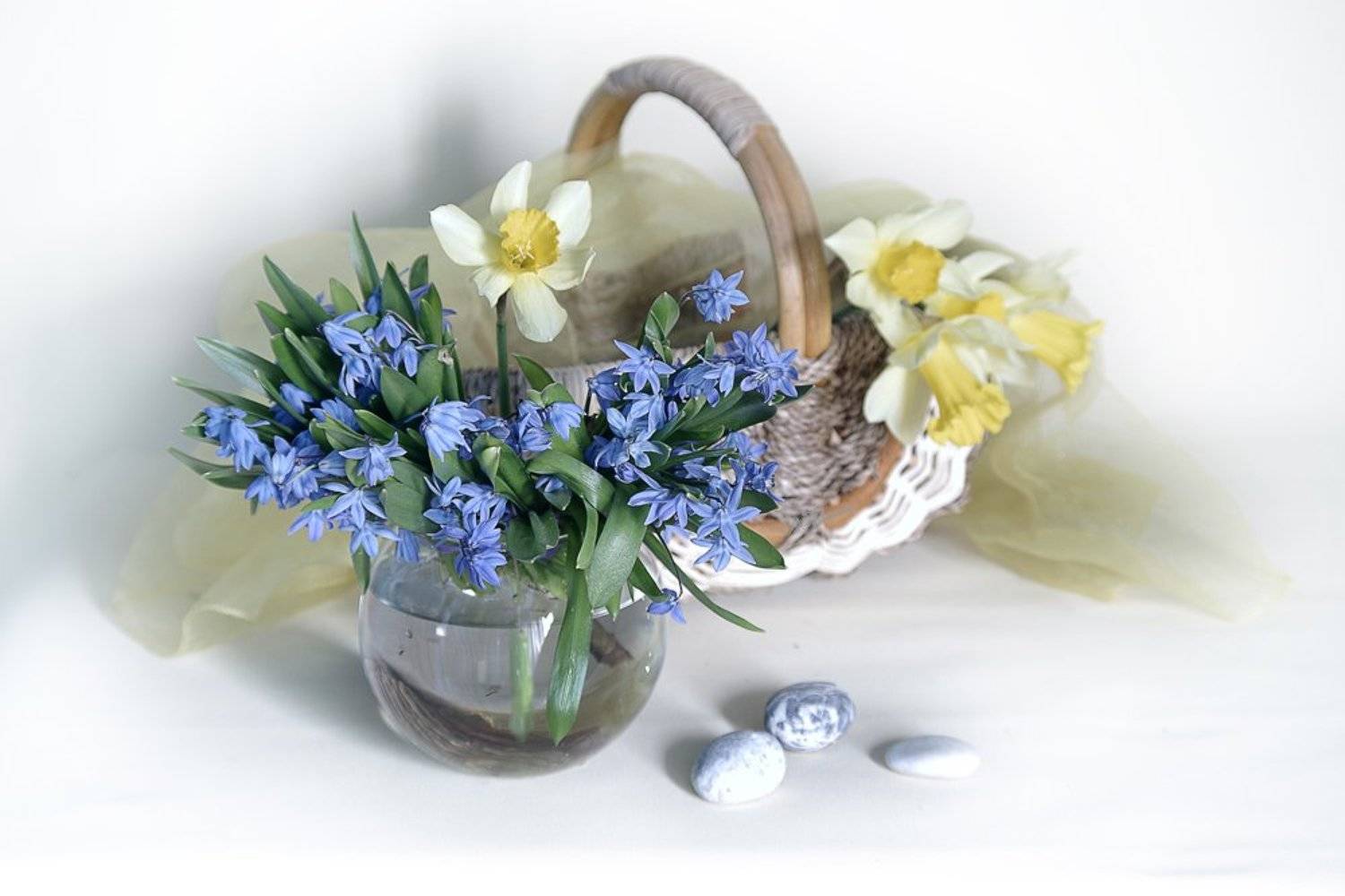 , Вера Павлухина