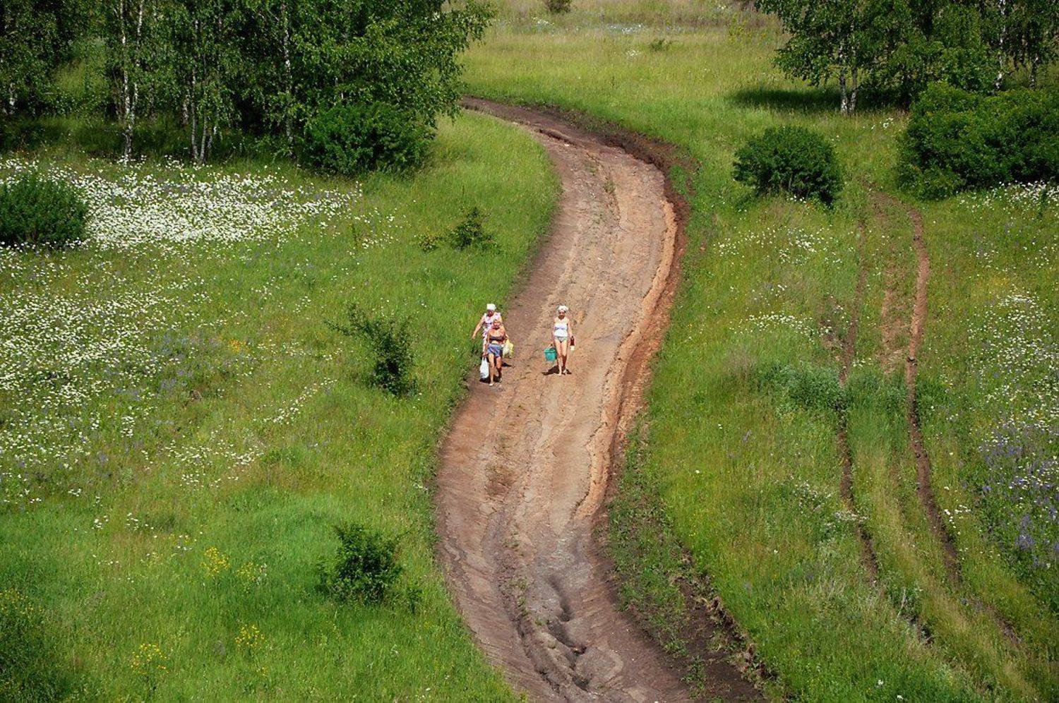 , Дмитрий Ильин