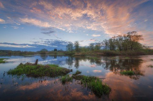 Майские темы...
