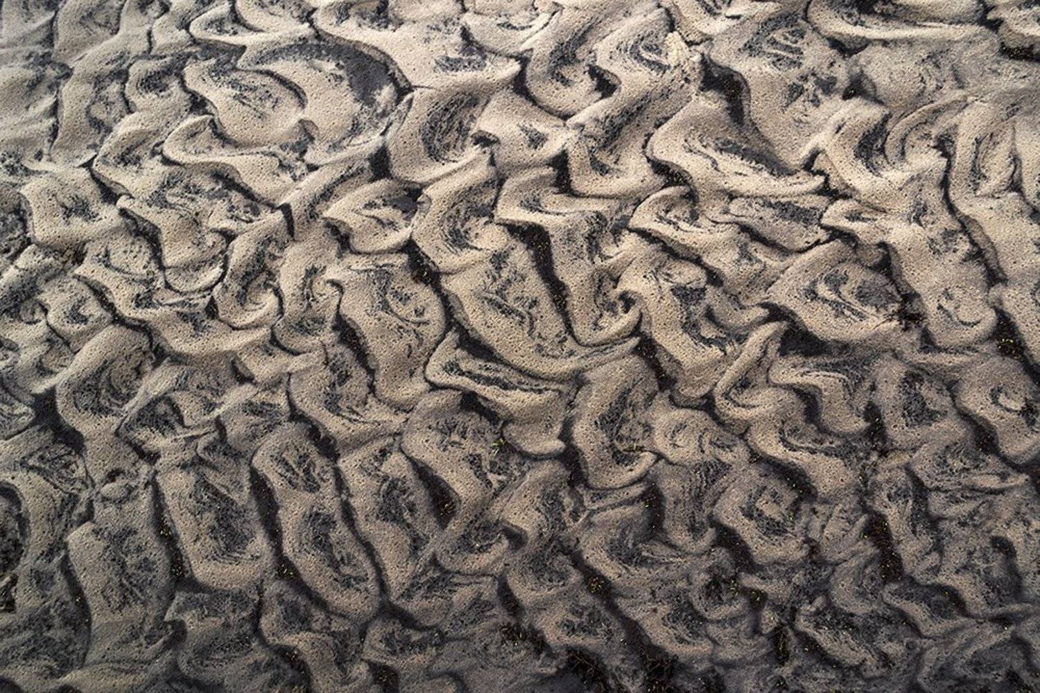 , Антон Воронин