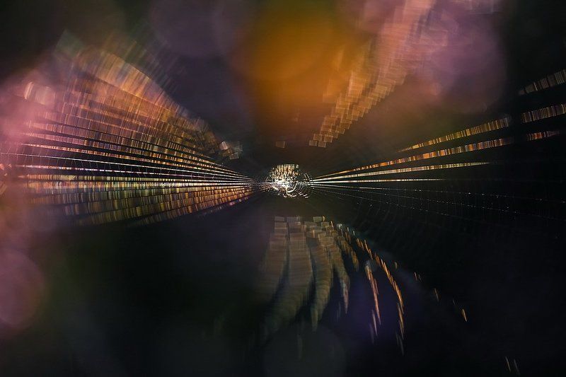 Лазерное шоу фото превью