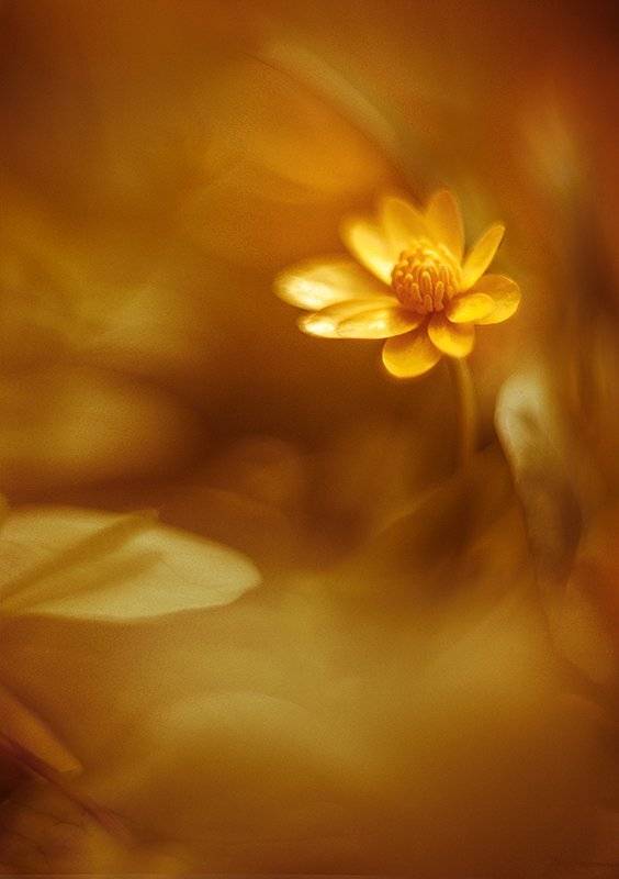 , Татьяна Аверина