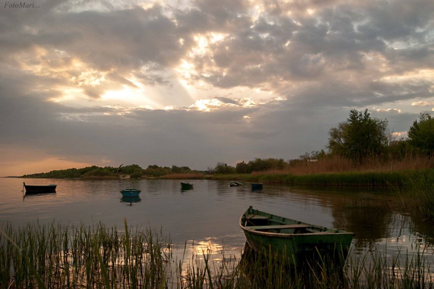 природа,пейзаж,донской пейзаж,закат,дон,река,, Марина Соколова