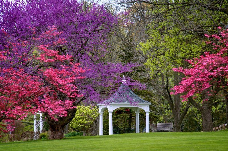Spring Color фото превью