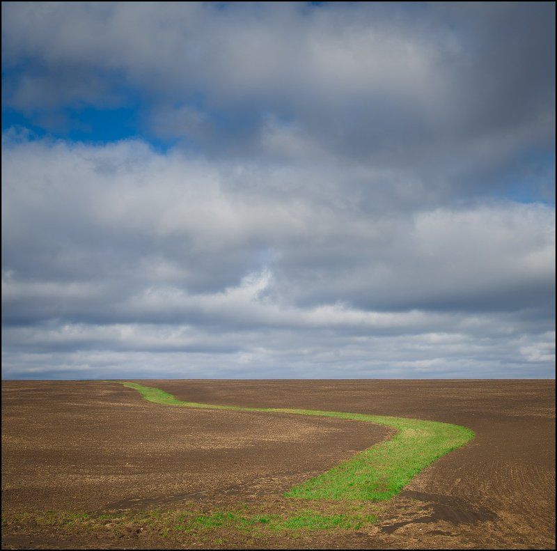 узоры ранней весны фото превью