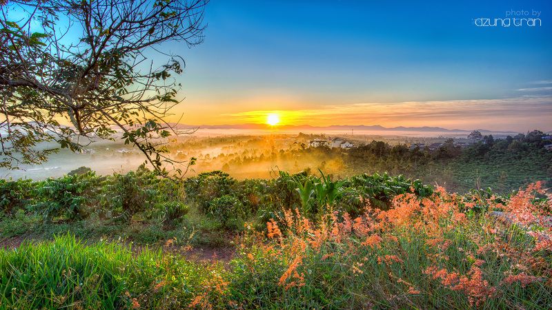 sunrise,baoloc,vietnam,grass New day фото превью