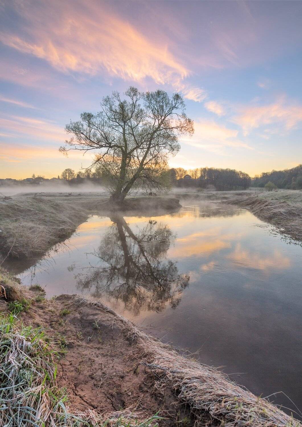 , Николай Андреев