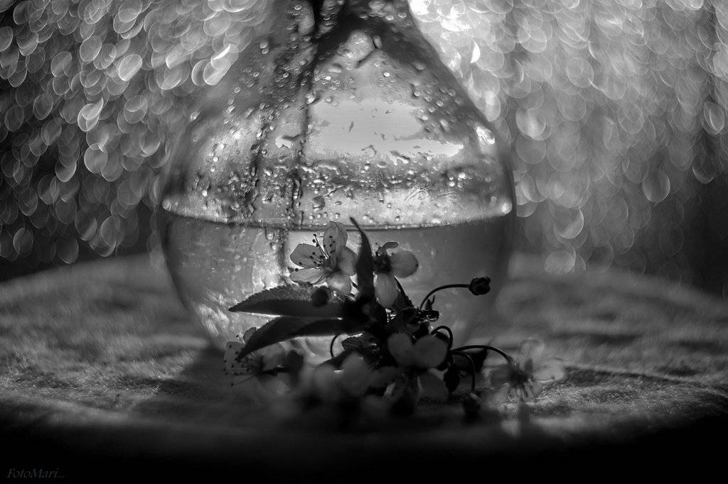 этюд,весна,боке,гелиос,композиция,, Марина Соколова