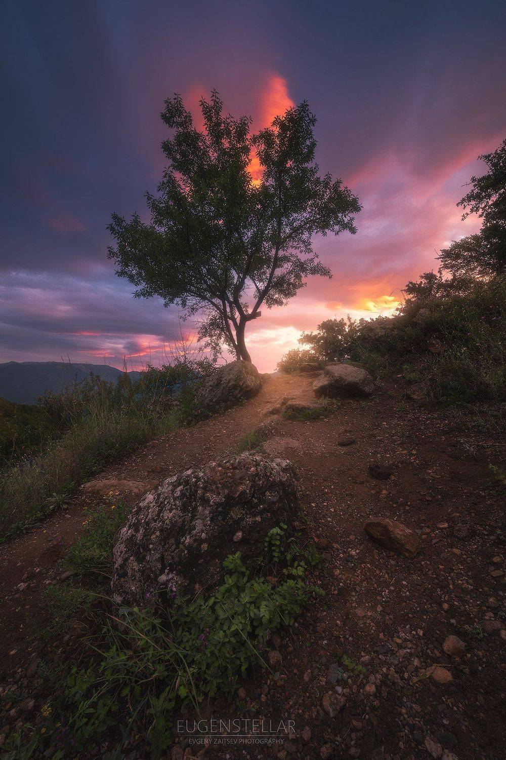 вечер, закат, облака, дерево, крым, демерджи, долина привидений, камни, Женя Зайцев