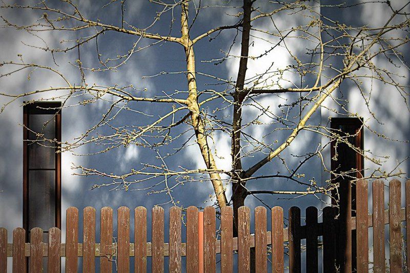 весна весенний этюд фото превью