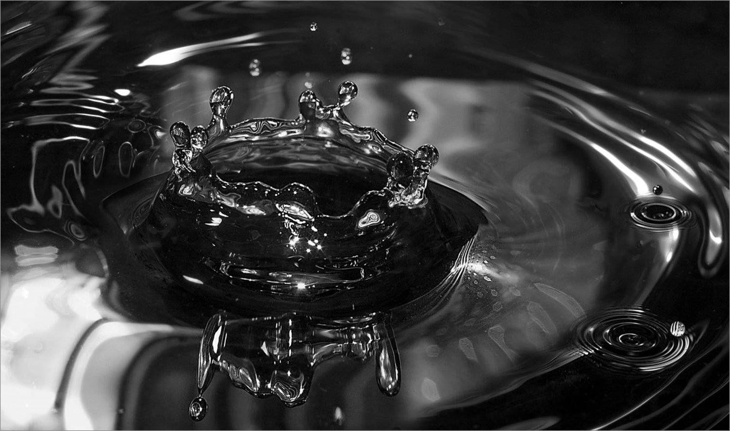 , Никитин Александр