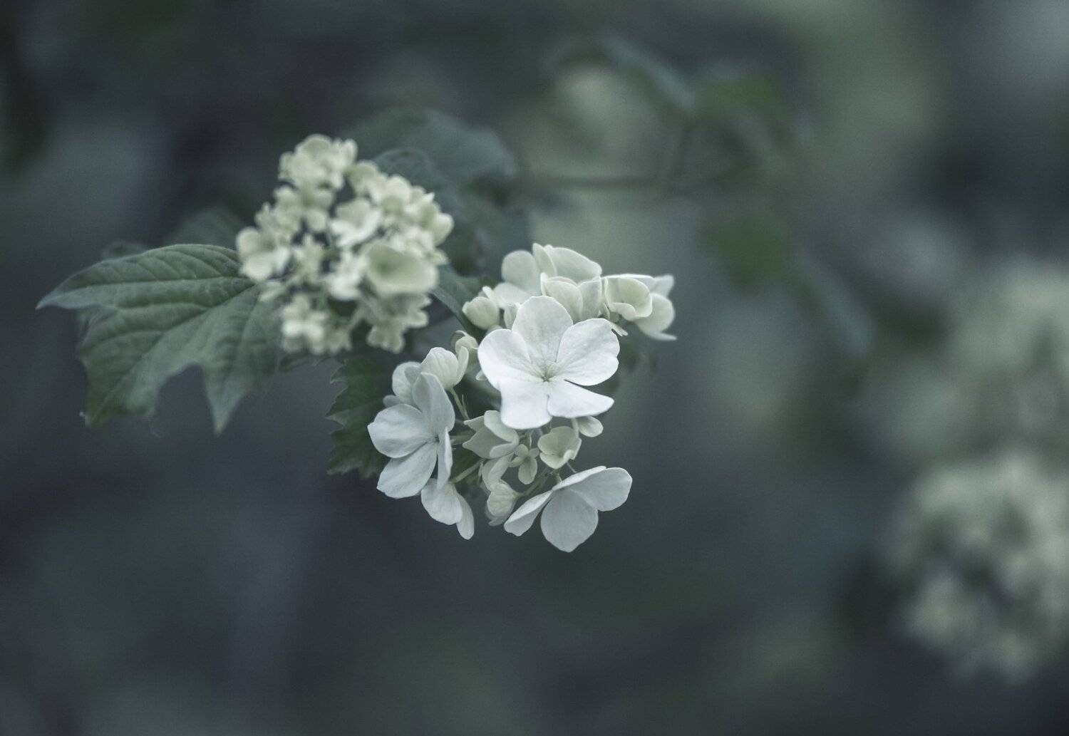 , Юрий Пужалин