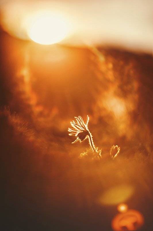 , Татьяна Аверина