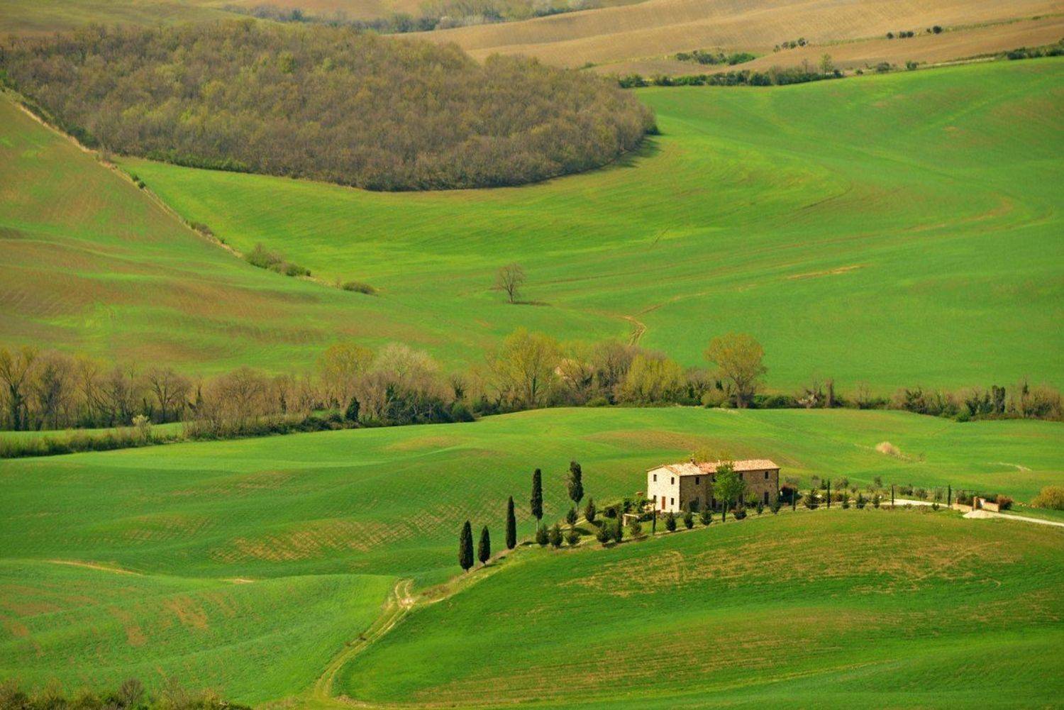 Тоскана, Италия, Олег Потехин